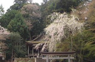 世界遺産・金峯神社