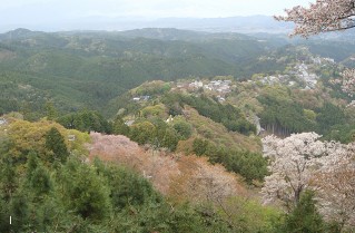 上千本から吉野山を見下ろす