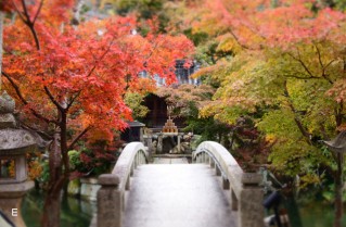 京都・永観堂の紅葉 ジオラマ風