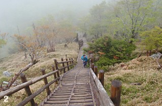 大台ケ原 日出ヶ岳への階段