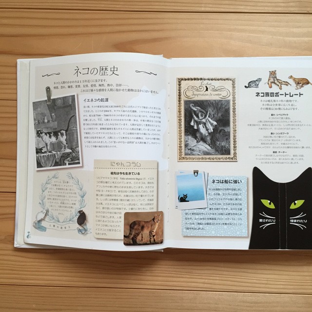 『CHATS ネコ大好き！　すべてのネコ好きに贈るポップアップブック』 ジャン・キュブリエ博士 (著)