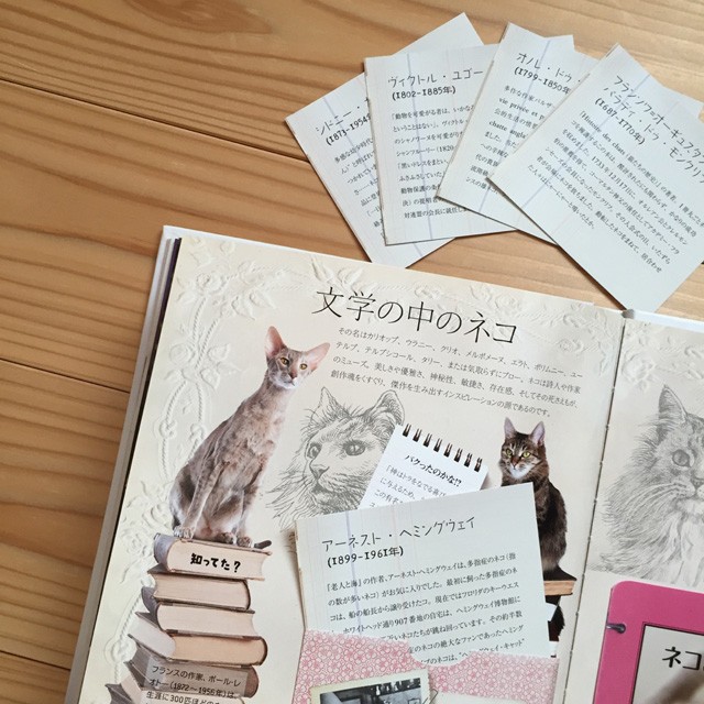 『CHATS ネコ大好き！　すべてのネコ好きに贈るポップアップブック』 ジャン・キュブリエ博士 (著)